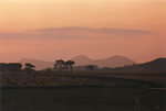 Image 1-8